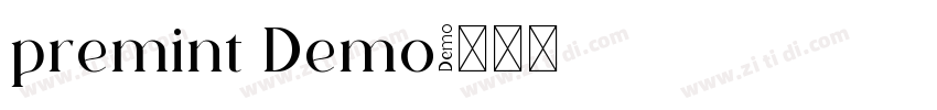 premint Demo字体转换